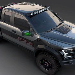 ford-f22-raptor-f-150-03 BM