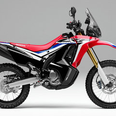 17YM CRF250 Rally