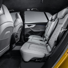 Audi Q8 first photos 13