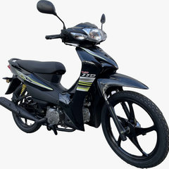 2021 Aveta VS110 Malaysia – 11