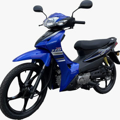 2021 Aveta VS110 Malaysia – 6