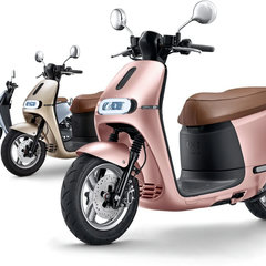 2022 Gogoro Prologium Battery – 2