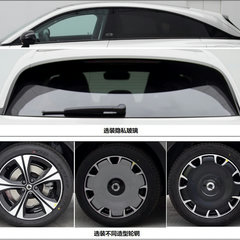 smart-3-homologation-2