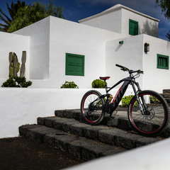 audi-e-mtb-4