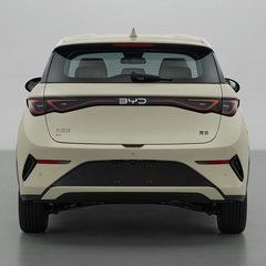 2025 BYD Dolphin facelift China-2