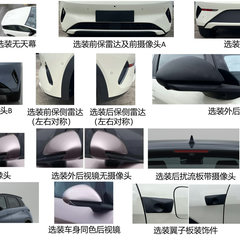 2025 BYD Dolphin facelift China-4
