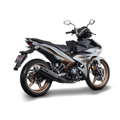 2025 Yamaha Y15ZR SE Special Edition Malaysia – 8