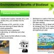 B10 生物柴油计划－让棕油专家来解答您对的疑问。