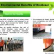 B10 生物柴油计划－让棕油专家来解答您对的疑问。