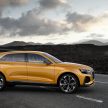 Audi 确认增加两款新SUV，Q4 与 Q8 两年内陆续面世。