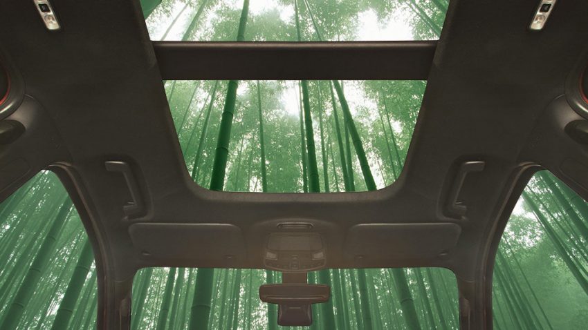 绿色兴起！Ford 计划将竹子应用在新环保造车材料上！ 27437