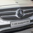 Mercedes-Benz E-Class 导入本地组装，价格更廉宜！