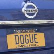狗儿的温暖窝,概念 Nissan Rogue Dogue 亮相上海车展！