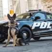 加入节能减炭行列，Ford 为美国警方推出Hybrid警车。