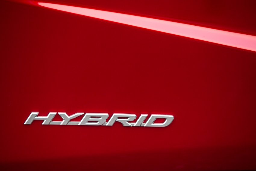 Lexus 中国申报 RX 450hL 商标，RX 将推出7人座版本？ 32698