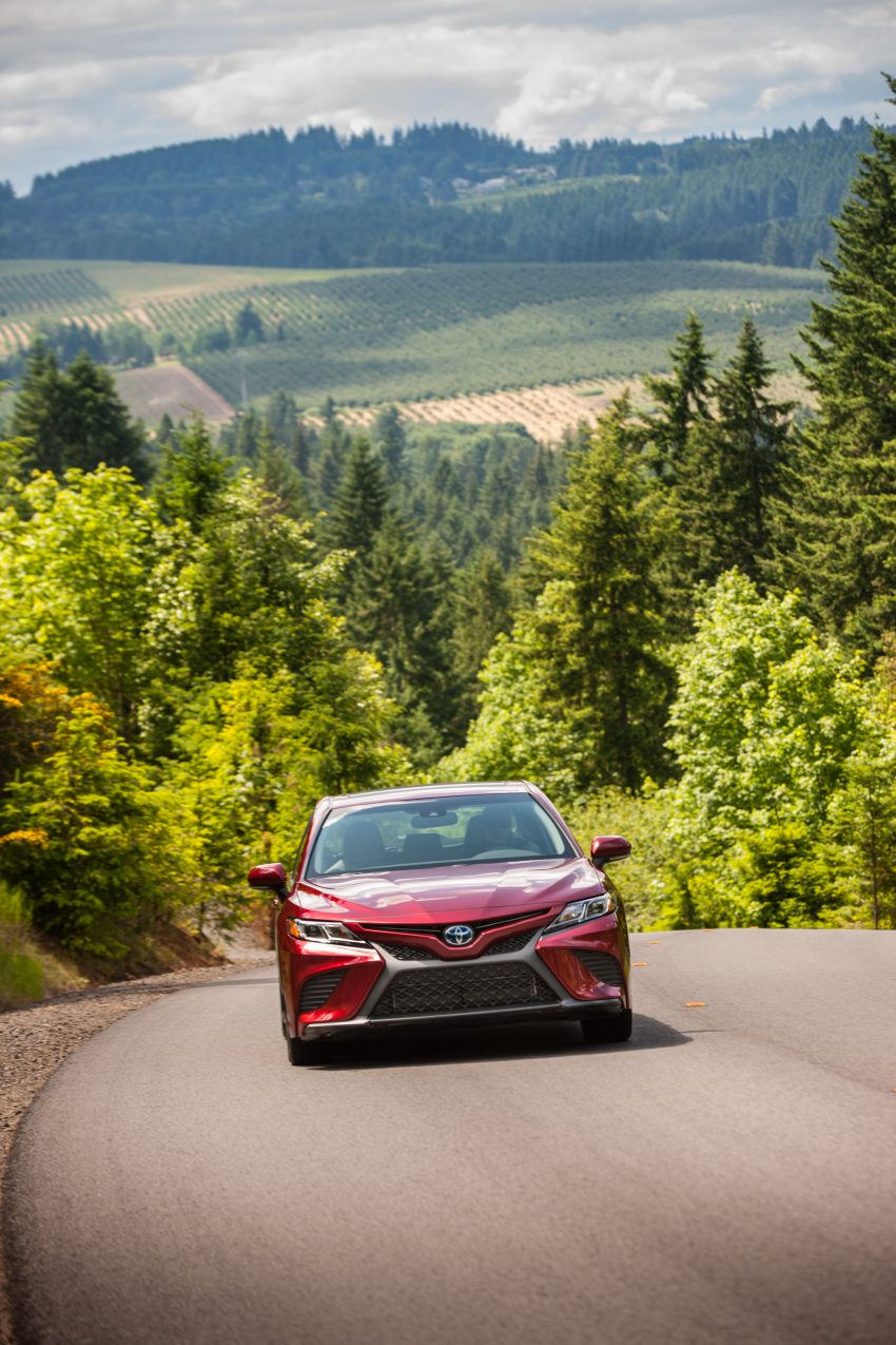 紧随日本脚步，澳洲今年11月发布全新 Toyota Camry。 33663