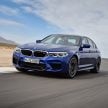 历来最强！F90 BMW M5 正式发表！600 Hp，750 Nm！