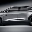 法兰克福车展: Audi Elaine Concept, Lvl 4 级别自动驾驶 !