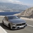 全新2019年式 Mercedes-Benz CLS 发布, 搭载直六引擎!