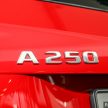 图集: Mercedes-Benz A 250 Sport, 动力重新调教, 218hp!