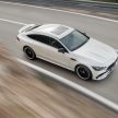 Mercedes-AMG GT 四门版正式发布，两种引擎三个等级
