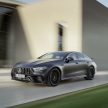 Mercedes-AMG GT 四门版正式发布，两种引擎三个等级