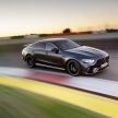 Mercedes-AMG GT 四门版正式发布，两种引擎三个等级