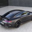 Mercedes-AMG GT 四门版正式发布，两种引擎三个等级