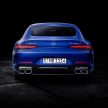 Mercedes-AMG GT 四门版正式发布，两种引擎三个等级