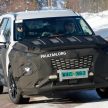 谍照：Hyundai 全新大型八人座SUV雪地测试被捕获