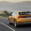 全新 Audi Q8 首批实车照曝光，即将在中国作全球首发