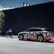 首见量产版电子后视镜，Audi e-tron 纯电动SUV内饰官图