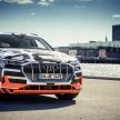 首见量产版电子后视镜，Audi e-tron 纯电动SUV内饰官图