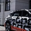 首见量产版电子后视镜，Audi e-tron 纯电动SUV内饰官图