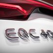 续航里程超过450公里，Mercedes-Benz EQC 全球首发