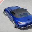 Mercedes-AMG GT 车系小改款，新增限量版 GT R Pro