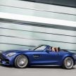 Mercedes-AMG GT 车系小改款，新增限量版 GT R Pro