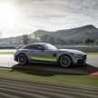 Mercedes-AMG GT 车系小改款，新增限量版 GT R Pro