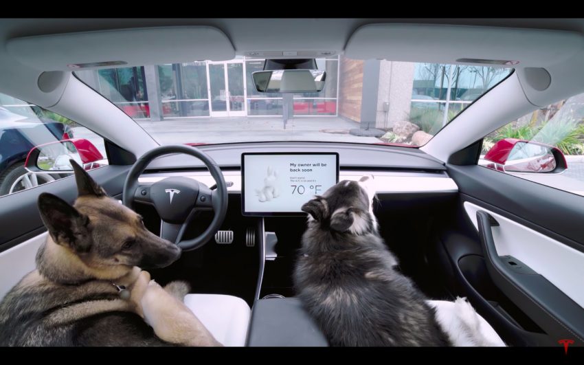 Tesla 发布”狗狗模式”，让猫狗饲主可放心留宠物在车内 87766