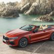 BMW M8 全球首发，双门Coupe与敞篷版两种车型选择