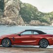 BMW M8 全球首发，双门Coupe与敞篷版两种车型选择