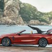 BMW M8 全球首发，双门Coupe与敞篷版两种车型选择