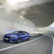 BMW M8 全球首发，双门Coupe与敞篷版两种车型选择