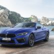 BMW M8 全球首发，双门Coupe与敞篷版两种车型选择