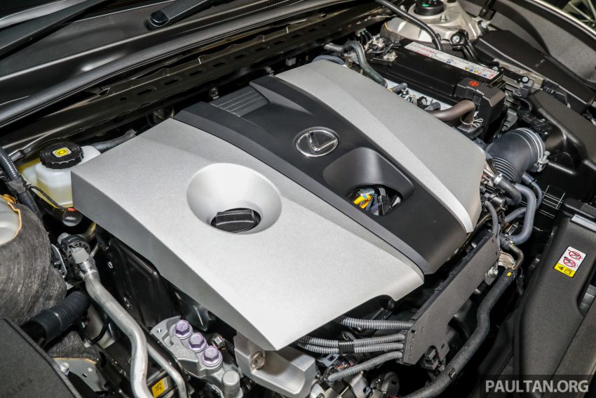 新车图集：2019 Lexus ES 250 Luxury，售价33.3万令吉 99622