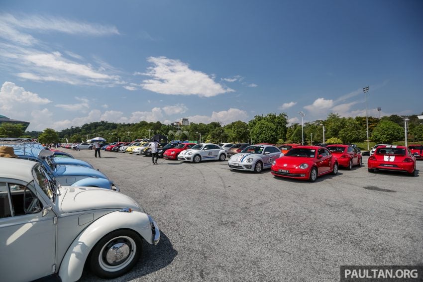 Volkswagen Beetle 告别聚会, 405辆三代甲虫车齐聚一堂 100949