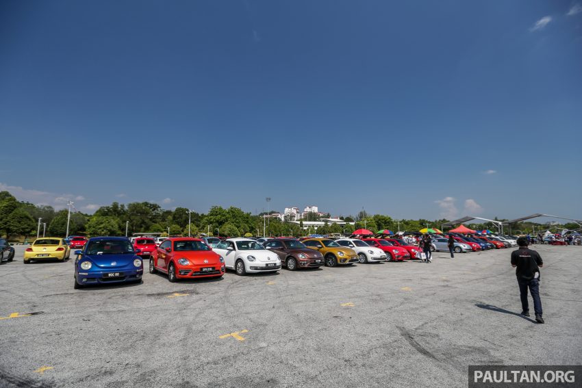 Volkswagen Beetle 告别聚会, 405辆三代甲虫车齐聚一堂 100954