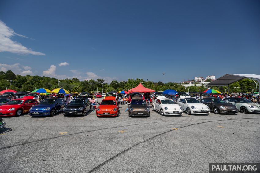 Volkswagen Beetle 告别聚会, 405辆三代甲虫车齐聚一堂 100956