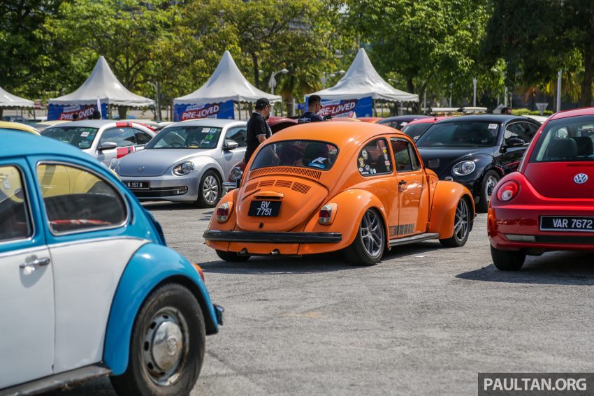 Volkswagen Beetle 告别聚会, 405辆三代甲虫车齐聚一堂 100959