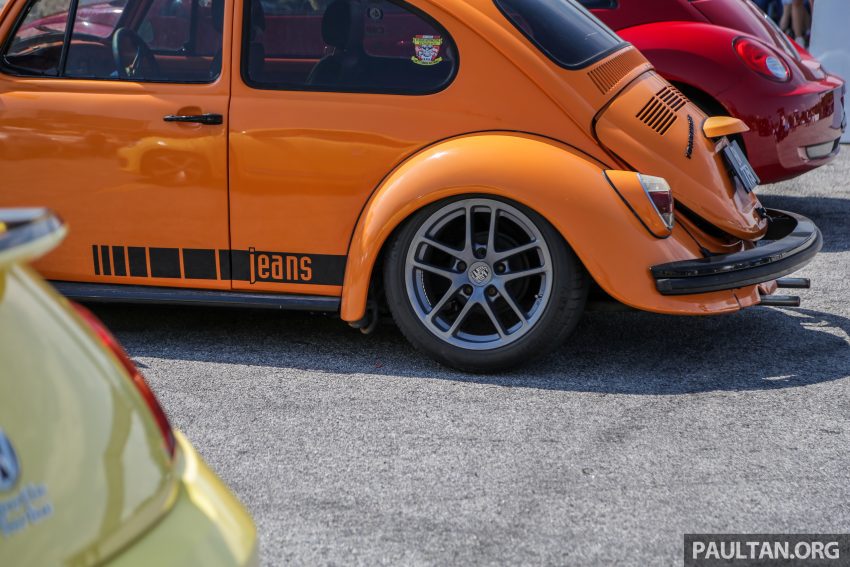 Volkswagen Beetle 告别聚会, 405辆三代甲虫车齐聚一堂 100960